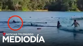 Susto en Texas: niñas nadaban muy cerca de un inmenso caimán | Noticias Telemundo