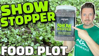 🌱Domain Outdoor Show Stopper Food Plot: Deer are Already Eating it! 🦌 Plot Tilled with ATV / UTV