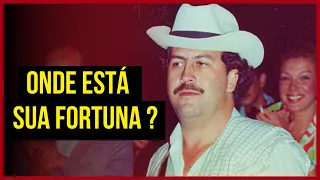 A Caça ao Tesouro de Pablo Escobar: Descobrindo o Dinheiro Escondido do Rei das Drogas