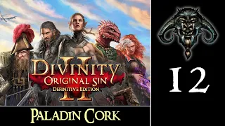 Divinity - Original Sin II #12 : Paladin Cork