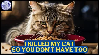 5 Ways you can KILL your CAT!