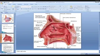 RESPIRATORY Module Anatomy | Nose & Paranasal sinuses