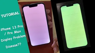 iPhone 13 Pro LCD Bug Fix 【Tutorial】White Green Display Problem