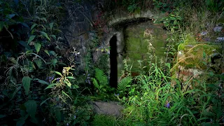 Märchenhaft im tiefen Wald: Die Homburg-Ruine | Exploring lost places