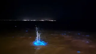 Bioluminescent Algae Bloom in Brisbane, Australia || ViralHog