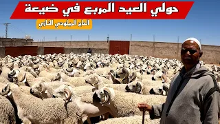 حصريا إنطلاق عملية بيع أضحية العيد لسنة 2024 عند الحاج الميلودي النازي