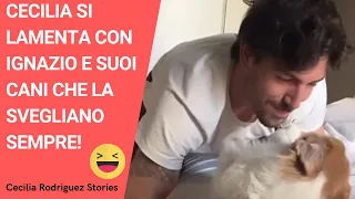 Cecilia Rodriguez si lamenta che Ignazio Moser ed i suoi cani la svegliano sempre 😂😂