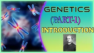 GENETICS (PART-1)//12th CLASS// +2 SCIENCE// NCERT// CBSE// CHSE// NEET // OUAT// AIIMS