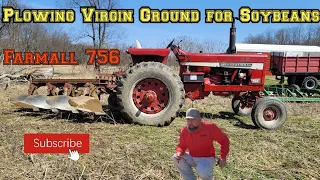 Farmall 756 Plowing Virgin Ground for Soybeans