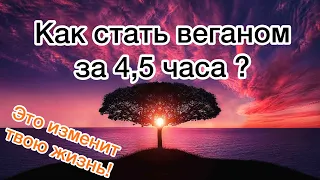 Как стать веганом за 4,5 часа ?