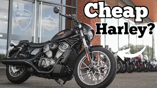 Harley Nightster 975 // The CHEAP option? // 4K