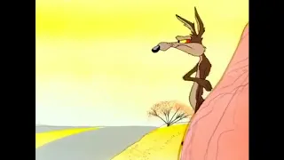 Genius fail - Wile E Coyote