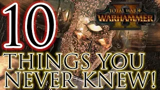 10 Things You Never Knew! - Total War Warhammer 2 Battles!