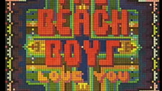 THE BEACH BOYS Airplane (Demo)