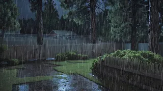 Night Rain Sounds Without Thunder, Relaxing Ambience for Sleeping, Studying and Meditation.