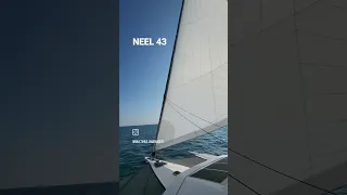 NEEL 43 sailing