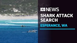 Search for shark attack victim resumes off Esperance on Western Australia's south coast | ABC News