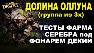 💰ОЛЛУН (ФОНАРЬ ДЕКИИ) - 800кк в час? Тесты фарма серебра в БДО (BDO-Black Desert)