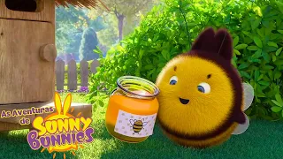 Abelha e mel | As Aventuras de Sunny Bunnies | Desenhos Animados Infantis