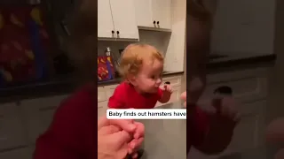 Why did he react like that #hamster #unexpected #scream#fyp#fypシ #foryou #foryoupage #viral#funny