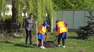 Не дожидаясь субботника. Пинчане благоустраивают свой город