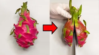 What Kind Of Plant Are Dragon Fruits ? - Dragon Fruit Dissection
