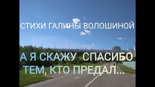 А Я СКАЖУ СПАСИБО ТЕМ,КТО ПРЕДАЛ... Стихи Галины Волошиной. Читает Валентина Приставко. #shorts