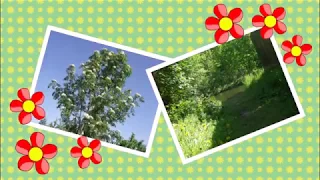 Открытка Чудесный день / Postcard Wonderful day