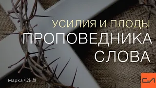 Марка 4:26-29. Усилия и плоды проповедника Слова | Андрей Вовк | Слово Истины