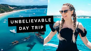 Escape Brisbane: MORETON ISLAND + Shipwrecks!