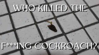 Who Killed the F***ing Cockroach - A Whodunnit Short Film (2024)