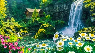 8 Hours of Beautiful Relaxing Music🌿Romantic Music with Piano For Stress Relief, Stop Overthinking