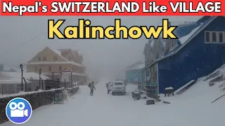 KALINCHOWK After HEAVY SNOWFALL-🇳🇵 Nepal's SWITZERLAND Like Kuri Village in Snow Mountains