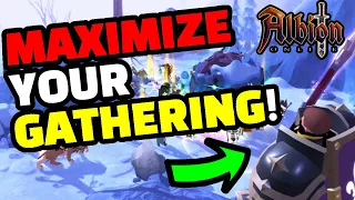 Albion Online Beginners Guide to GATHERING