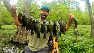 BIG Shellcrackers and Bluegill went NUTS for my SECRET JIG!!!  Then...I Got SNAKE BIT!!!!  (Insane)