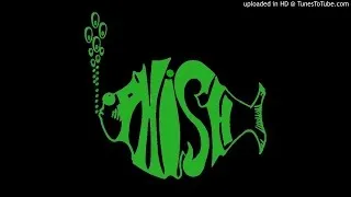 Phish - "Mike's Song/I Am Hydrogen/Weekapaug Groove" (3/22/93)
