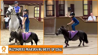 OMG! Op je pony staan in GALOP?! | PaardenpraatTV