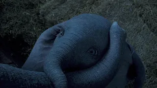 Dumbo (2019) | "Baby Mine" Clip [HD]