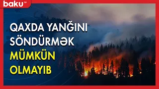 Qaxda dəhşətli yanğın baş verib - BAKU TV