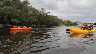 Um paraíso na Amazônia