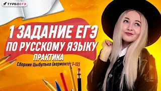3 задание ЕГЭ по русскому языку | Цыбулько (варианты 1-12)
