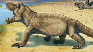 Anteosaurus: The Protomammal Version Of Tyrannosaurus