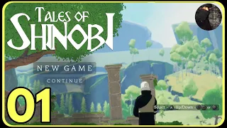 This game is not finished! - Tales of Shinobi [01]