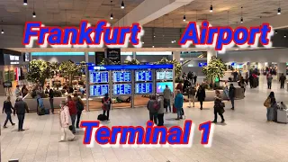 Frankfurt Germany 🇩🇪 Frankfurt Airport Terminal 1 / Walking To Departure