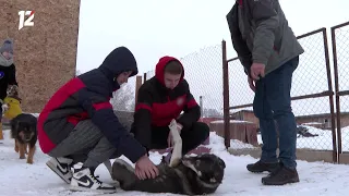 Омск: Час новостей от 28 января 2022 года (17:00). Новости