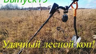 Выпуск 19. Удачный лесной коп!