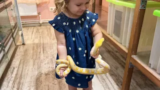 A young snake charmer and her favorite snakes