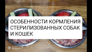 ОСОБЕННОСТИ КОРМЛЕНИЯ СТЕРИЛИЗОВАННЫХ СОБАК И КОШЕК 🐩🐶🐈‍⬛🐈