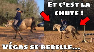 [COURS] Saut d’obstacles ! (CHUTE 😂) 18/01/20 - CS’o Landreau