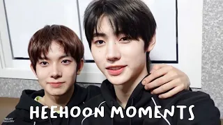 Heehoon Moments